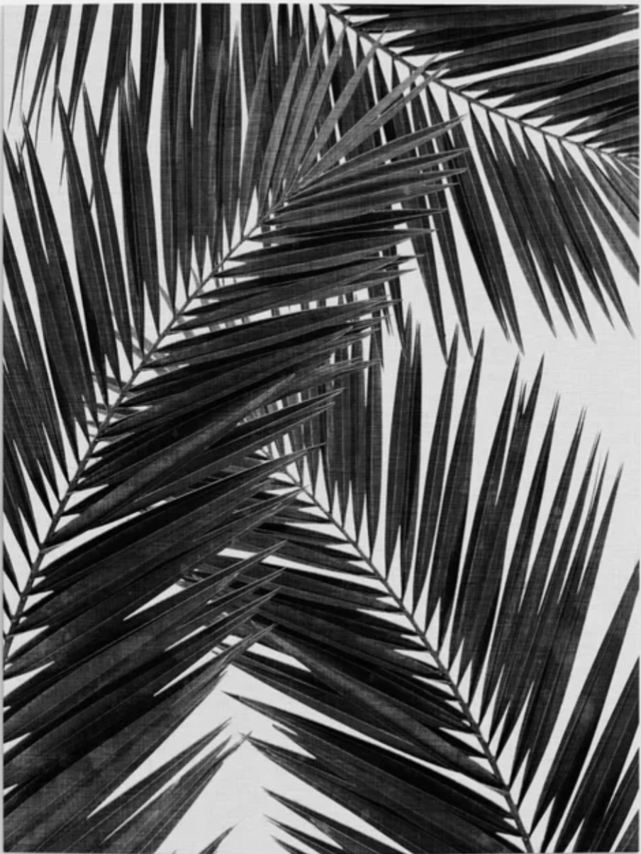 Gathering of Lines home design beach artwork